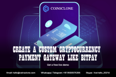 Create a custom cryptocurrency payment gateway like Bitpay.png