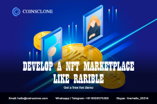 Develop a NFT marketplace like rarible.png