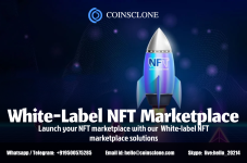White-label NFT marketplace.png