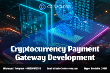 cryptocurrency payment gateway development.png